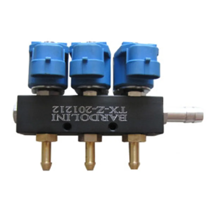 Bardolini Injector Rail